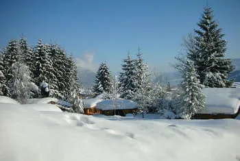 Ferienhaus im Hotelgarten mit Hotelservice