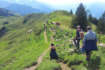 Wanderurlaub Ferienwohnungen Tirol