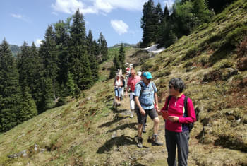 Wandern - Wilder Kaiser - Almwiesen