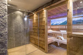 NEW Almsauna - Pure Wellness Kitzbühel