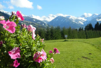 Tanzurlaub Österreich Oberndorf in Tirol