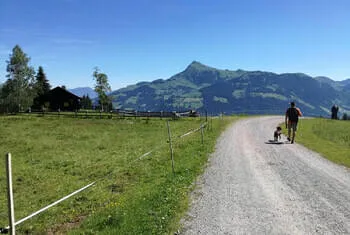 Blick auf das Kitzbüheler Horn