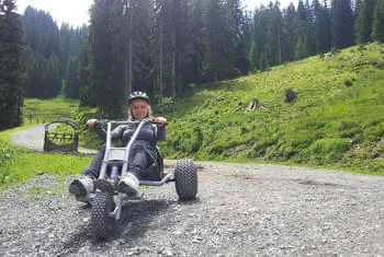 NEW Mountaincart am Harschbichl