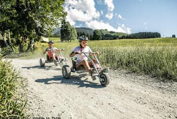 Charrette de montagne Harschbichl © Mirja Geh - Alpes de Kitzbühel St. Johann in Tirol