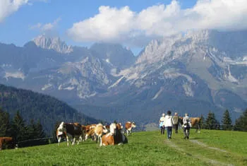 Randonnée vacances dansant les montagnes de Kitzbühel