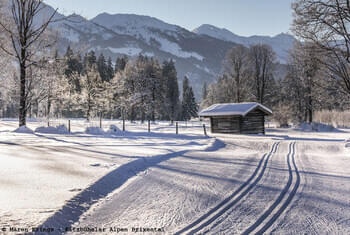 Ski de fond dans la nature © Maren Krings - Kitzbüheler Alpen Brixental