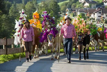 Almabtrieb dans le Brixental © Hannes Dabernig – Hohe Salve