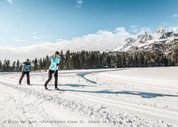 Cross-Country Skiing