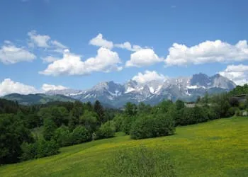 Stellenausschreibungen