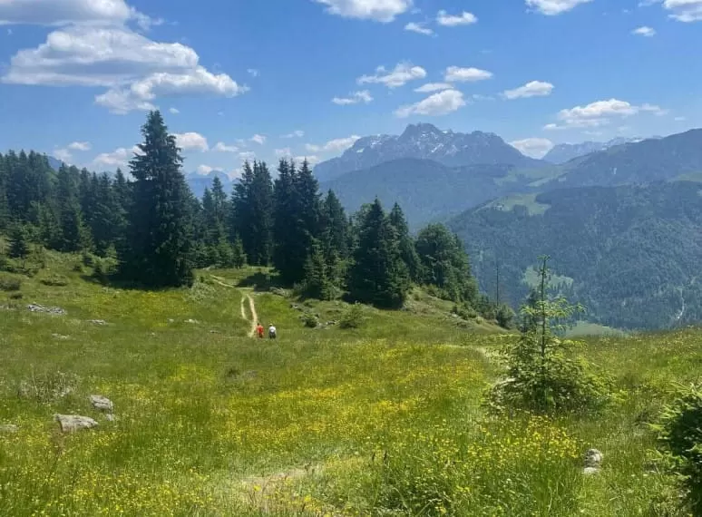 berglandschaft_in_tirol__urlaub_am_rosenhof__wohnungen_chalets_und_zimmer.jpeg