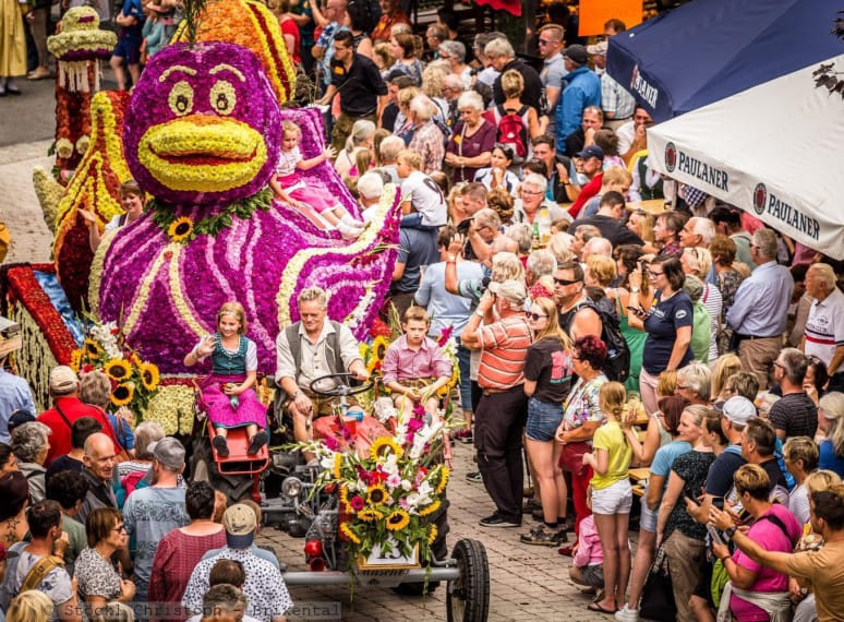 blumencorso2019stoecklchristoph.jpg