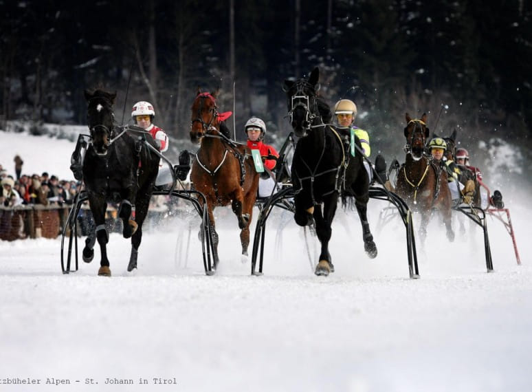 stefanirenneninst.johannintirol3kitzbueheleralpenstjohannintirol.jpg