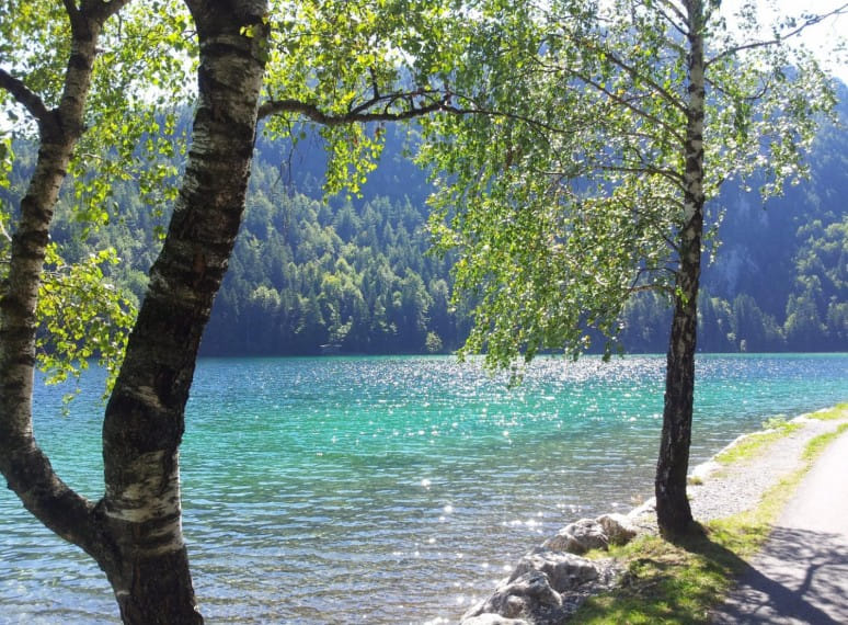 20130906_132345.jpg