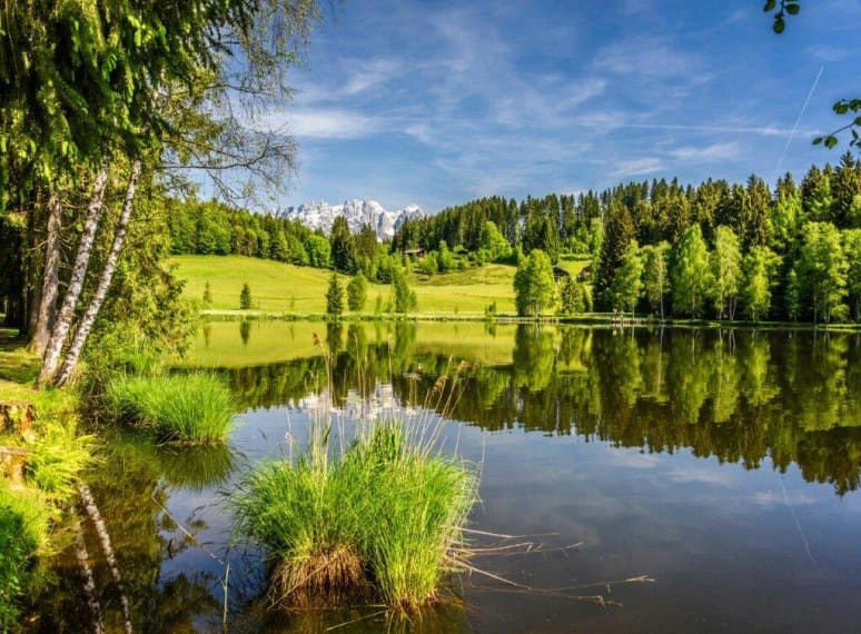 alamy_bild_schwarzsee_relaxraum_vergrert.jpg