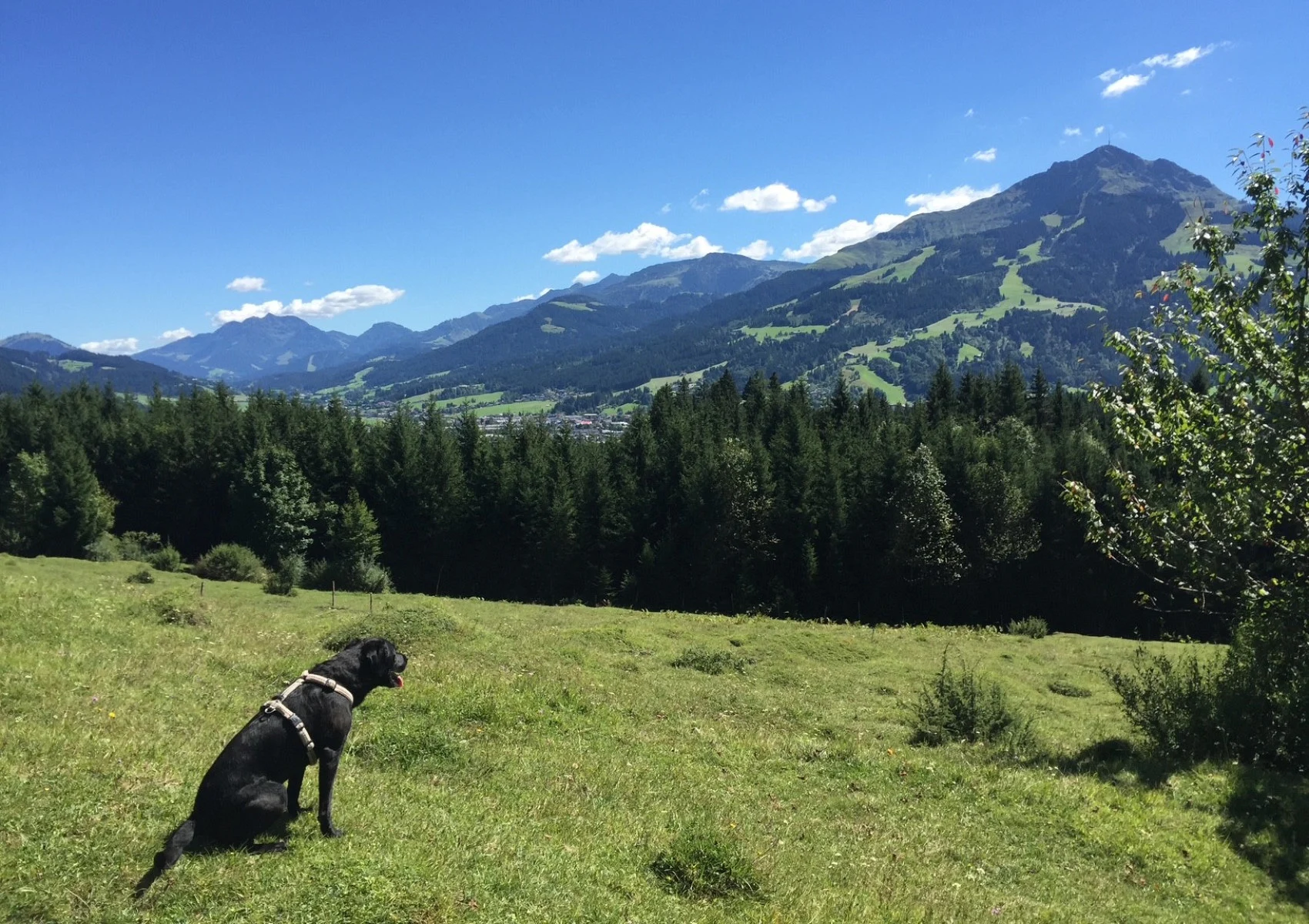 HUnd3